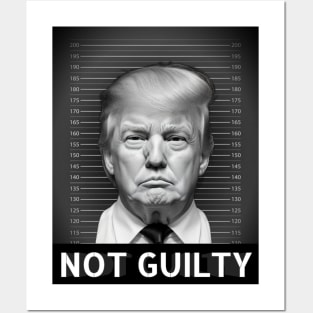 Trump not guilty Posters and Art